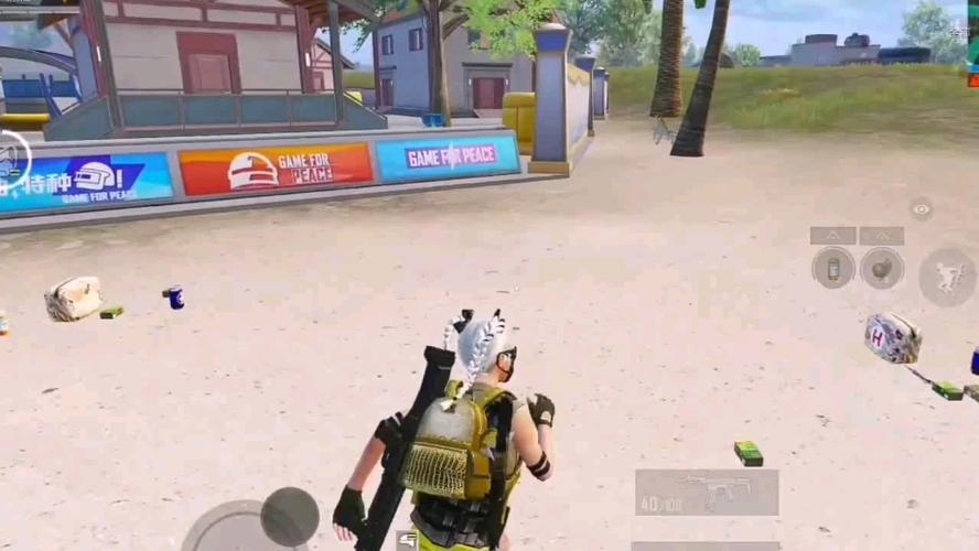 突破游戏界限：探索和平精英辅助工具的神秘世